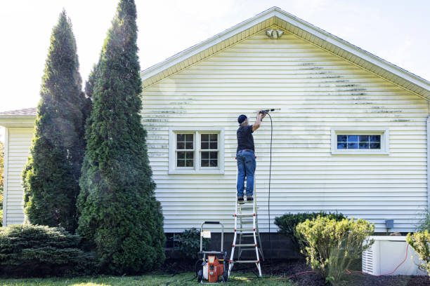 Best Dumpster Area Cleaning  in USA